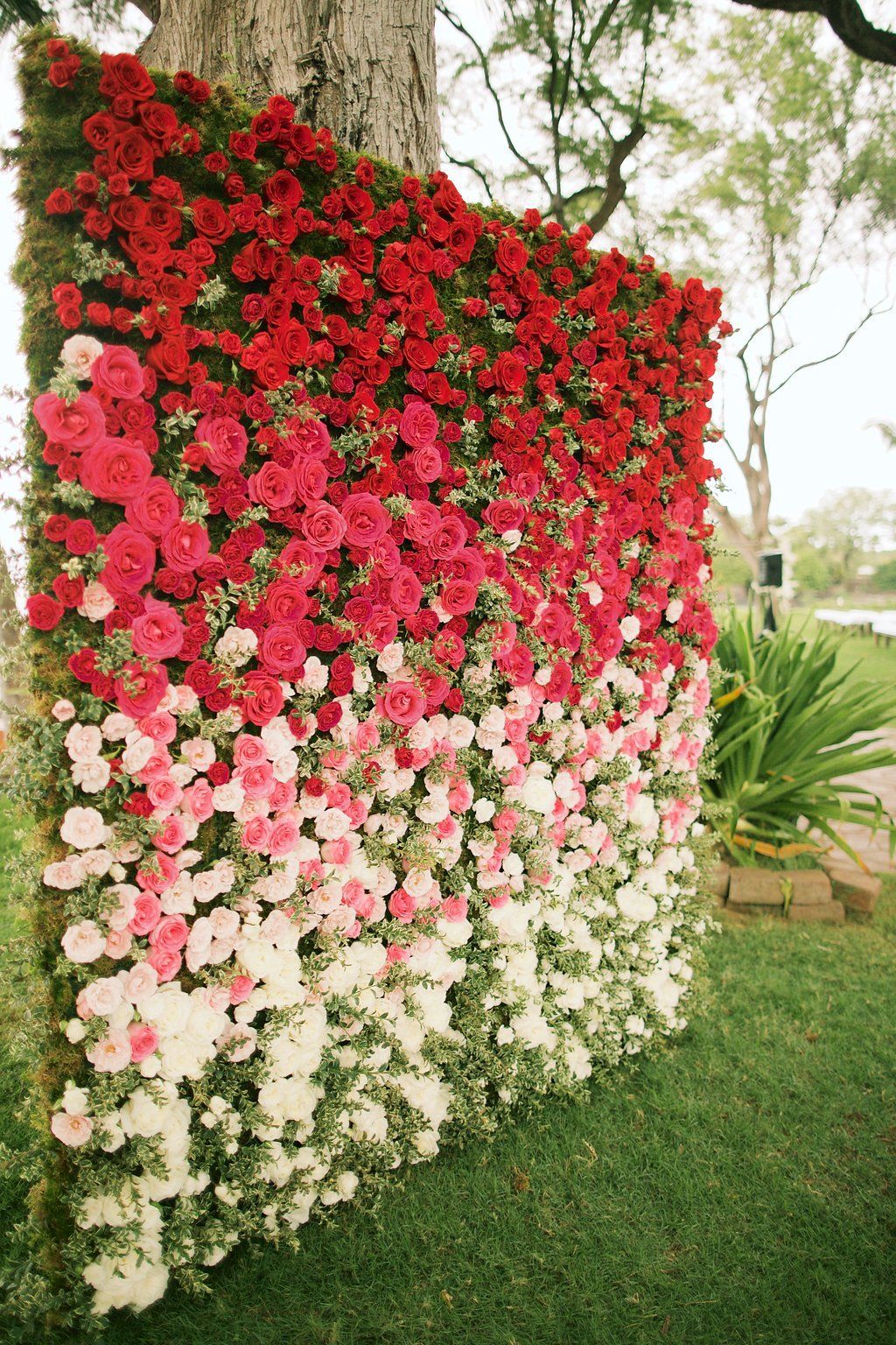 Ombre rose backdrop by Teresa Sena Design – Anna Kim Photography