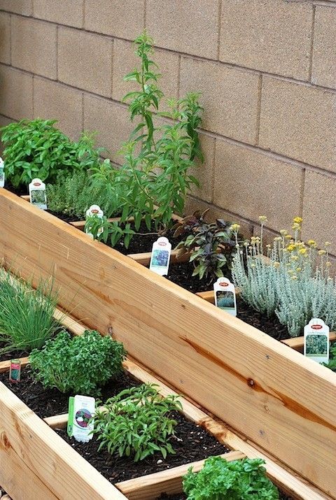 Raised bed Herb Garden- want! the boxes are a little small for most of these to reach full size, but great for containing the