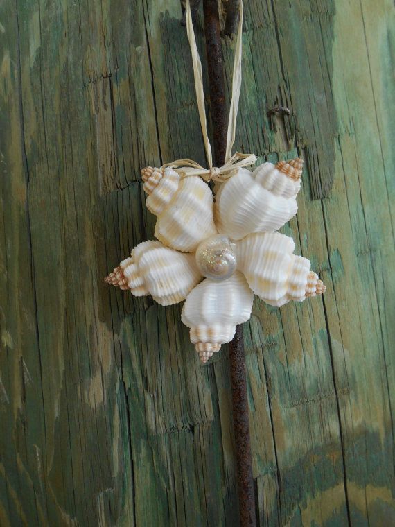 Seashell Christmas Ornament- Coastal Living style, Florida, Beach Christmas, Seashell flower ornament, Shell ornament – by