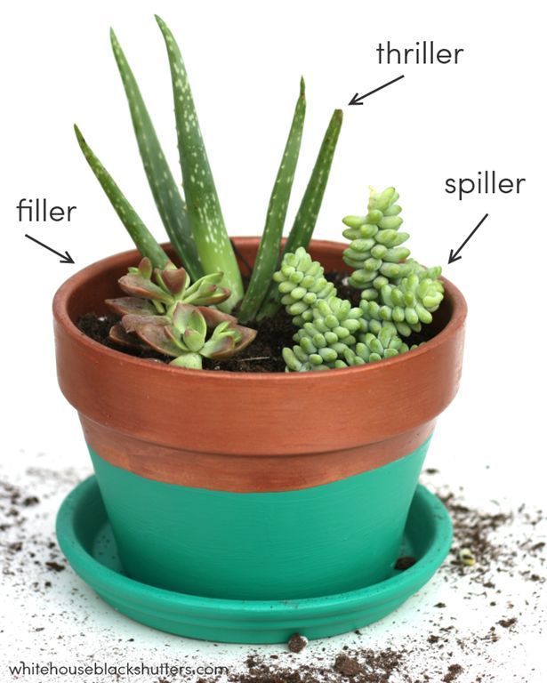 the RIGHT way to make a succulent garden and a tutorial on how to make this color blocked planter