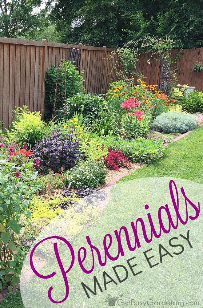 Tips for perennials made easy: How to avoid (or fix) dull, boring gardens and create eye-popping perennial gardens that everyone