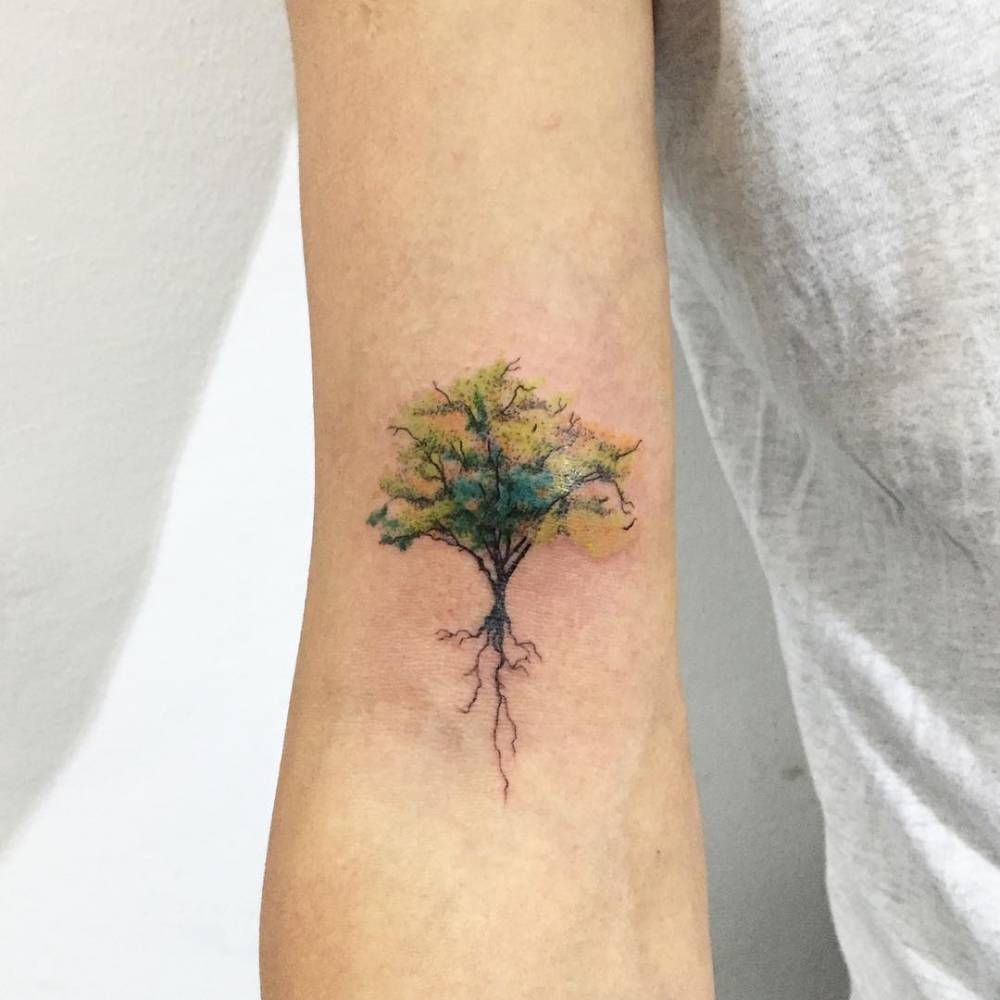Tree tattoo on the right bicep. Tattoo artist: Hongdam