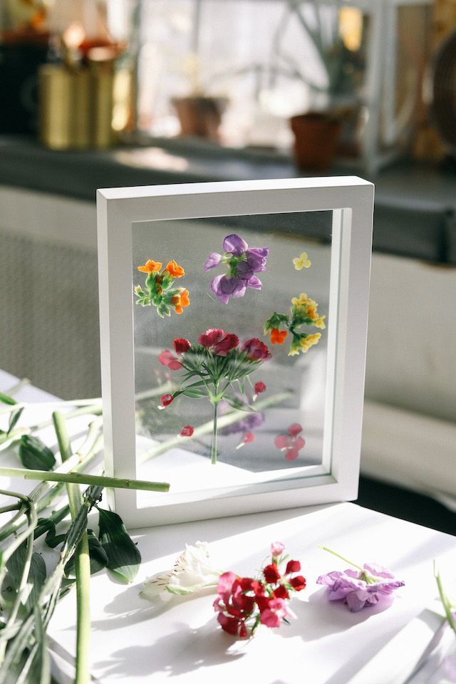 UO DIY: How to Press and Frame Flowers – Urban Outfitters – Blog