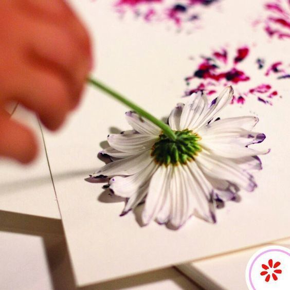 Use flower heads of different shapes as stamps to make cool watercolour style abstract flower print shapes on cards, paper, or