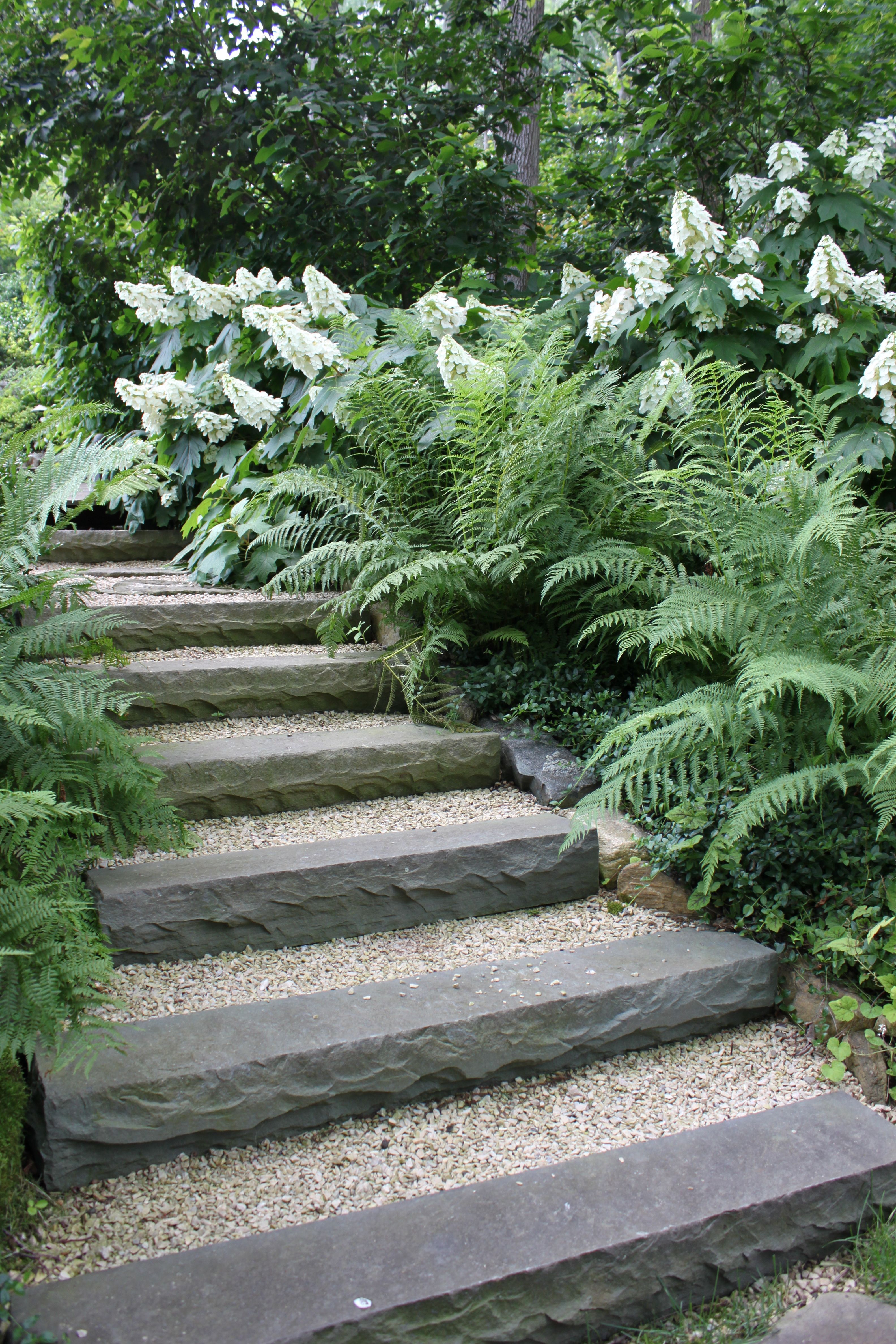 We created these simple steps using bluestone risers…the Oakleaf hydrangea and Lady Fern add some exuberance to the scene