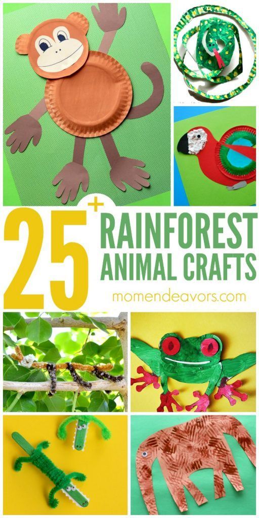 25+ Rainforest Animal Crafts for Kids