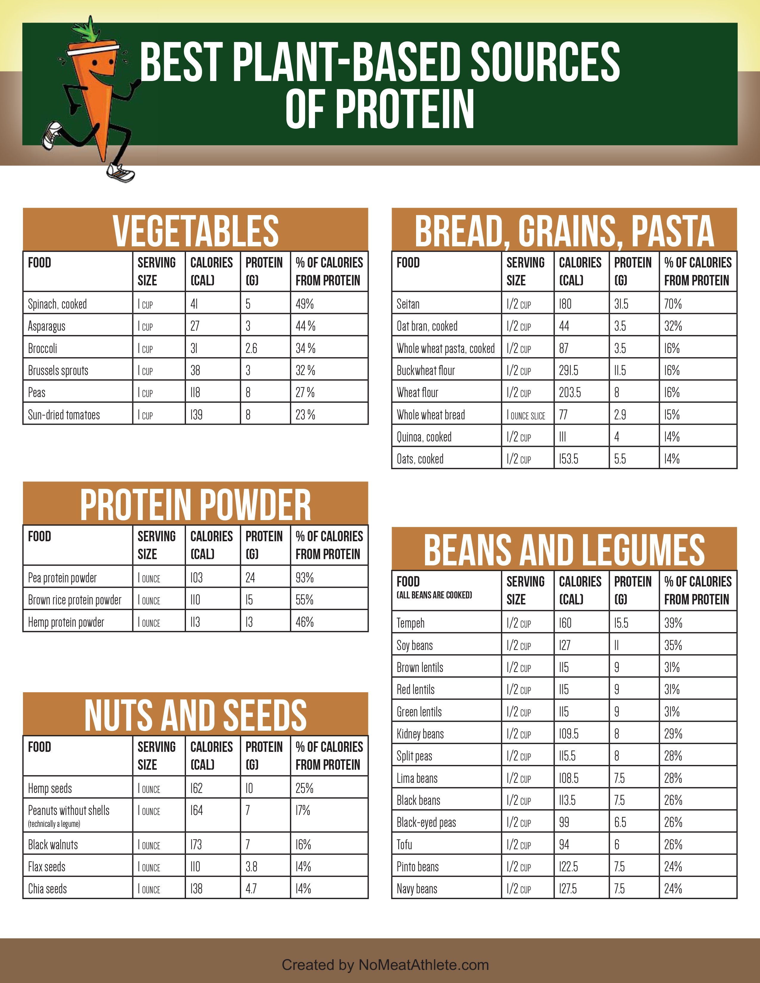 Best Plant-Based Sources of Protein