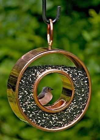 Circle Fly-Thru Bird Feeder for an unusual garden accent, its bird-approved!