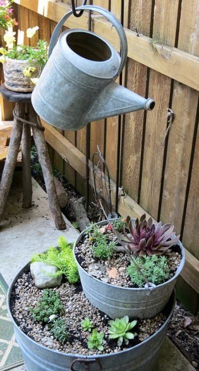 Galvanized trio — succulent rock garden “still life” Add to side yard garden (my water can is in the attic)