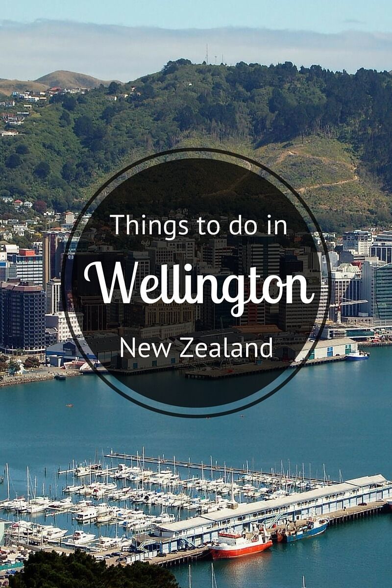 Got Wellington, New Zealand on your bucket list? Check out these insider tips on things to do and where to eat, drink, sleep, and