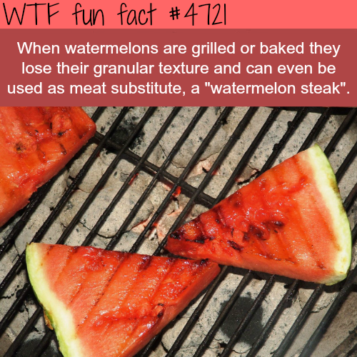 Grilled Watermelons – WTF fun facts