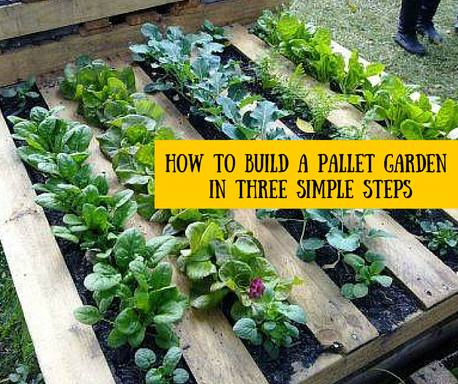 How to Build a Pallet Garden in Three Simple Steps The Homestead Guru