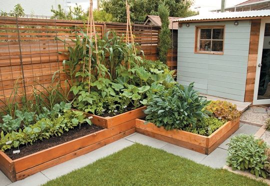 How to grow a food garden in a small space bcliving #raised_garden_layers