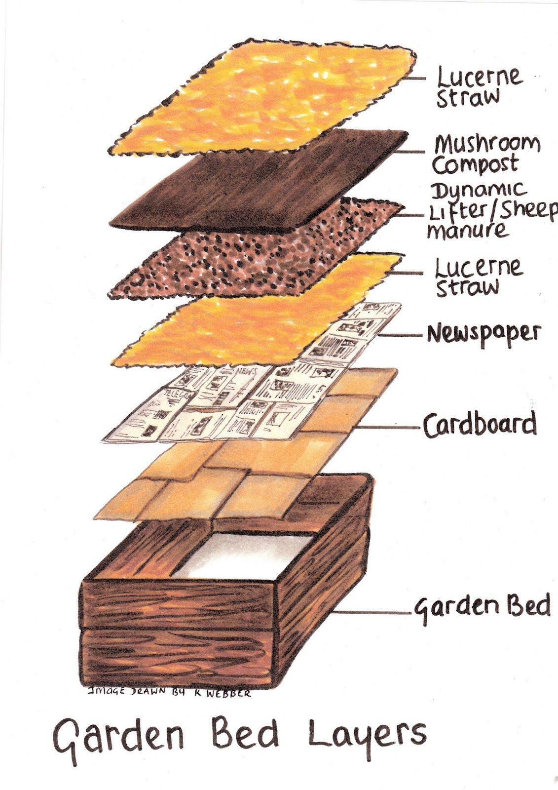 How To Make Raised Garden Beds For Vegetables – The Greening of Gavin #raised_garden_layers