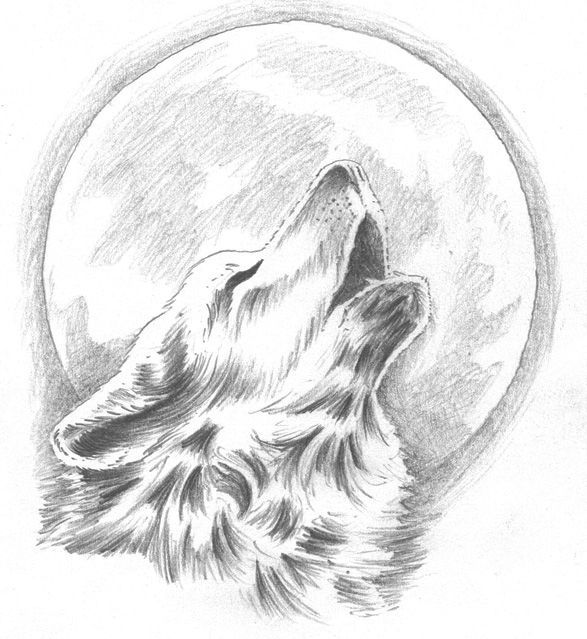 “howling wolf tattoo- change the moon to our dream catcher behind the wolf?” YES that would be so pretty!