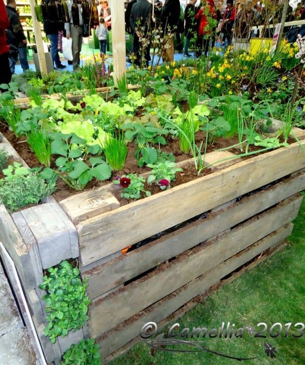 ideas pallets raised garden beds (14)