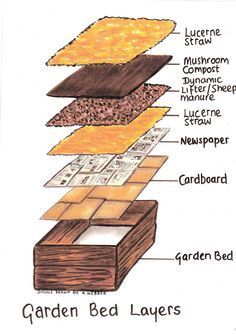 Layering your raised garden bed for maximum productivity. #raised_garden_layers