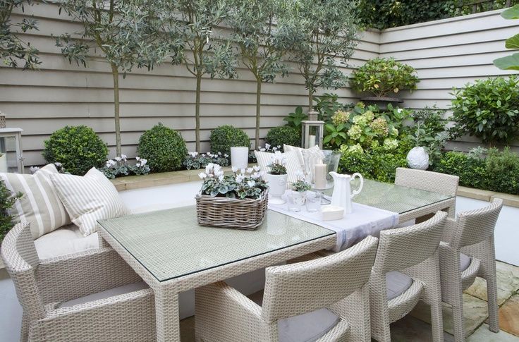 Olive trees and boxwood balls….Full details on Modern Country Style blog: Leopoldina Haynes Small Garden