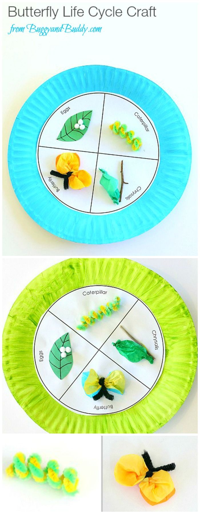 Paper Plate Butterfly Life Cycle Craft for Kids (with FREE printable template)- Fun spring and science activity for kids! ~
