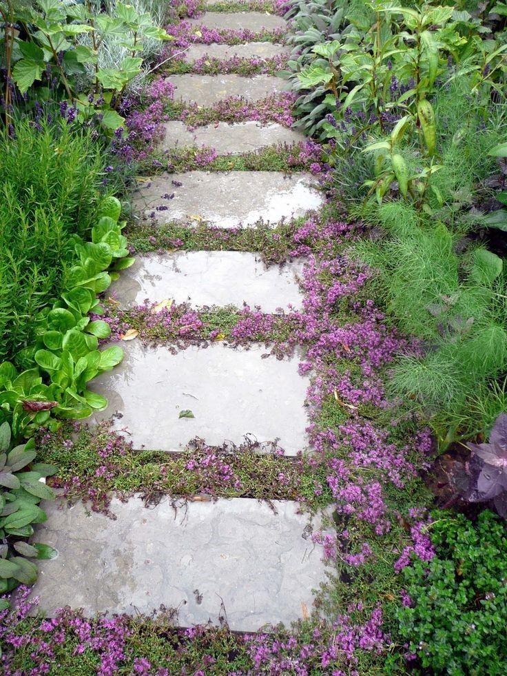 Paths and walkways are an integral part of every garden. They allow you to get from one place to another easily in order to
