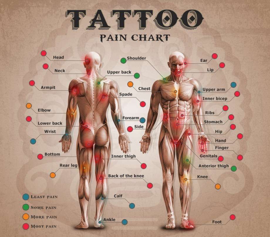 Tattoo lifestyle website TattooChief.com is hoping to aid people in judging the amount of physical pain that they could be in for