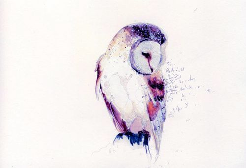 watercolor owl… tattoo inspiration perhaps