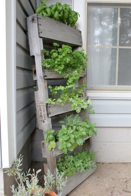 Wood Pallet Herb Garden Yes! This is what we should do with the pallets we discovered in our yard. :)