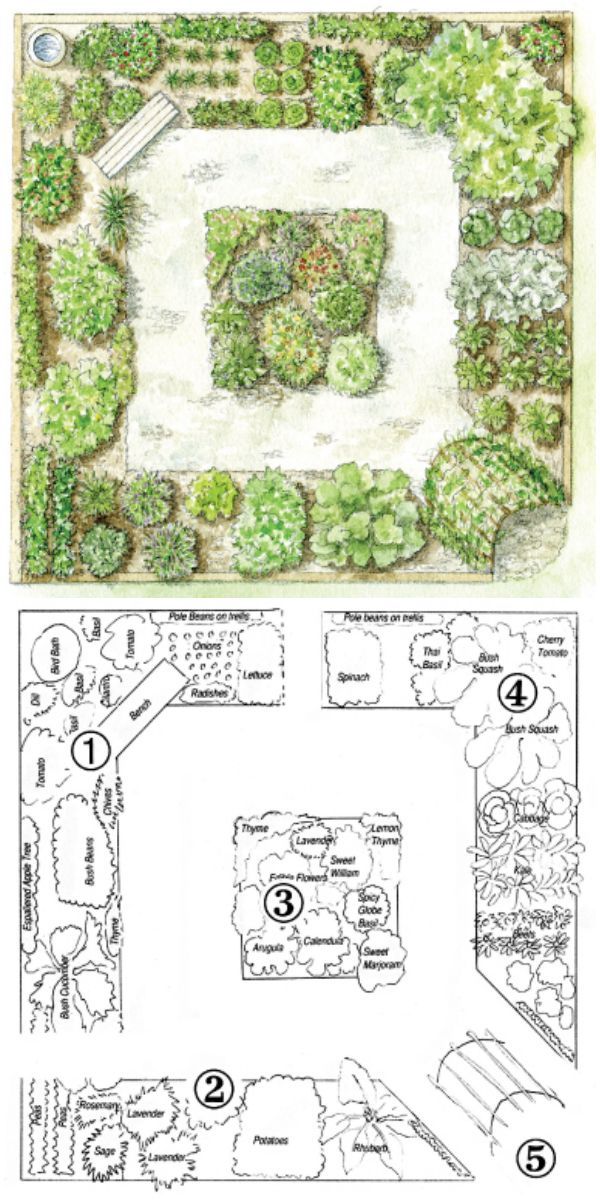 5 year garden plan