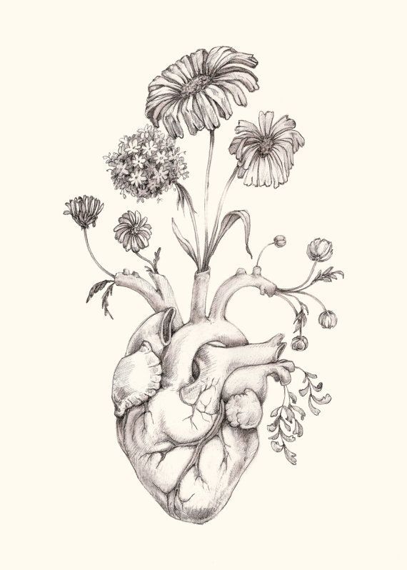 8 x 10″ impresión de original dibujo”Florecer el corazón”-grafito, arte, Anatomía, flores, corazón, San Valentín por