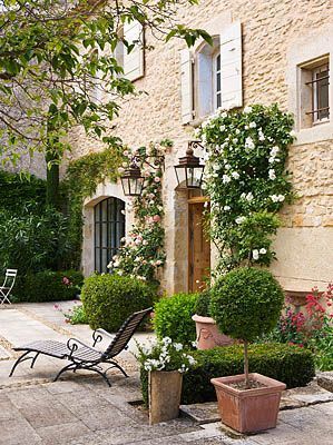 A garden patio with topiaries and rose bushes climbing trellises…lovely.