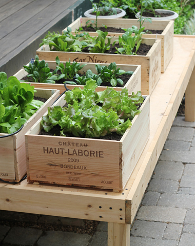 A wine box garden…..maybe I should pioneer an apple sauce container garden. As seen on designmom.com