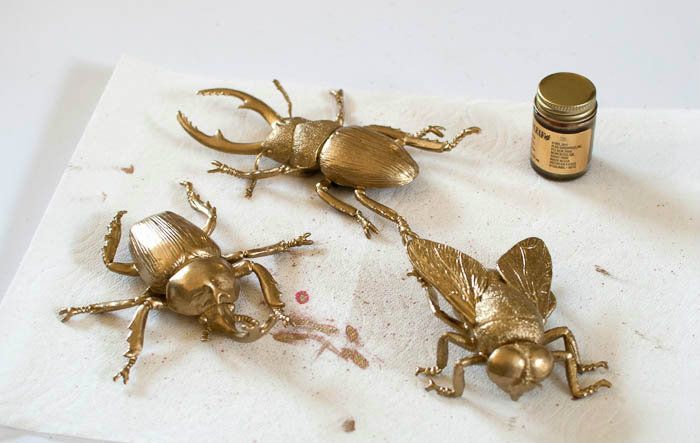DIY Gilded Insect Faux Taxidermy.