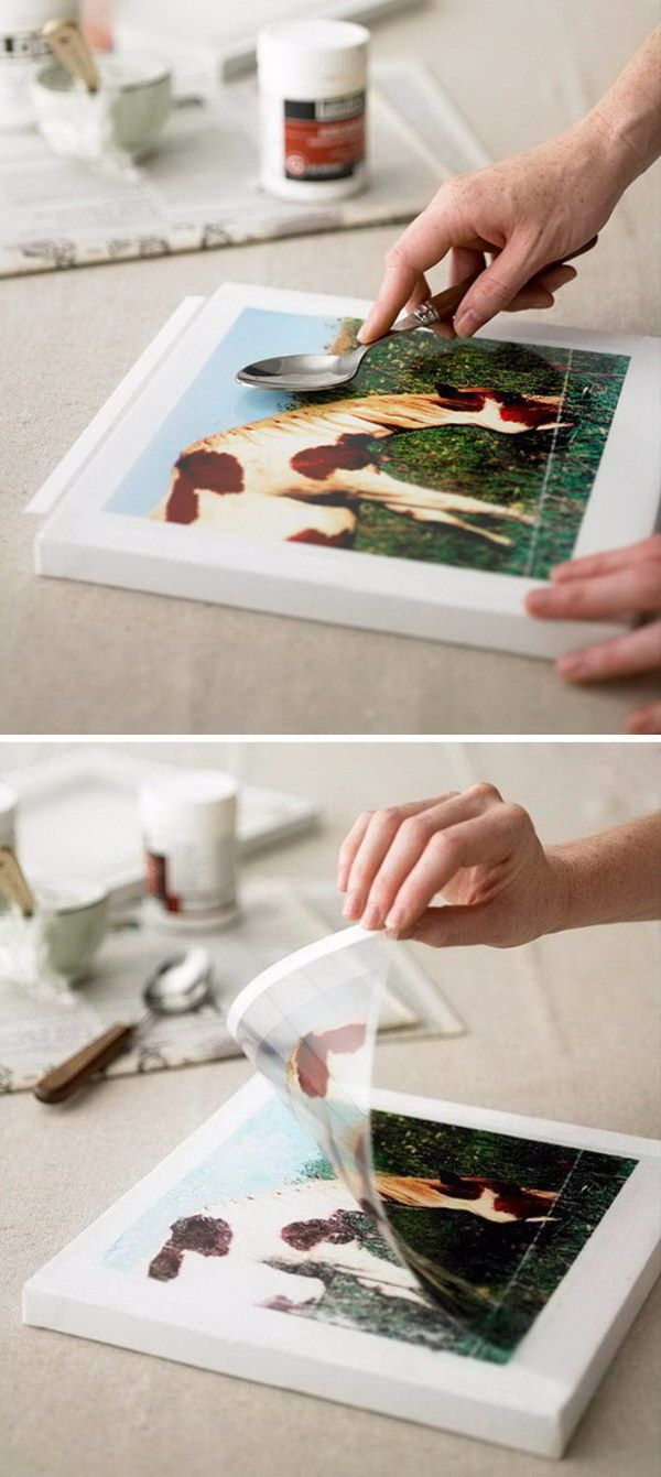 NATURE-INSPIRED PHOTO TRANSFER PROJECT -   Ideas for Photo Transfer Projects