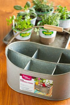 Easy Indoor Herb Garden — I was an indoor container gardening failure, until I decided a different approach was in order. Find