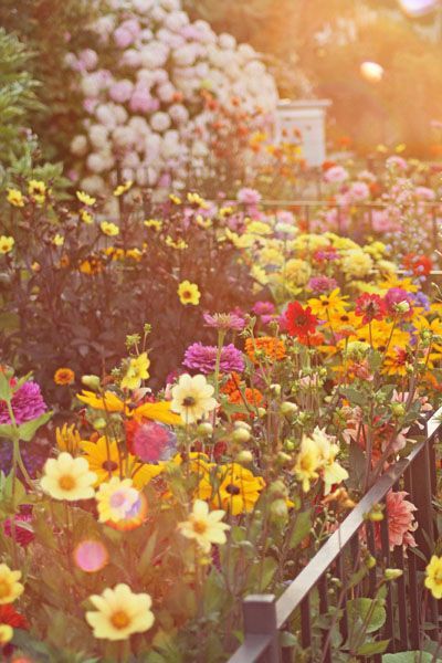 Farm Girl Studios: A Cutting Garden, plant an easy to reach flower garden just for taking cuttings