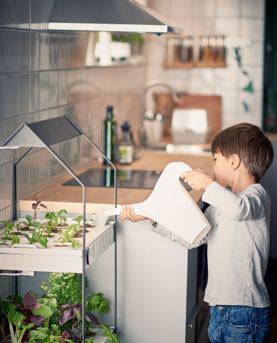 IKEA is selling hydroponic grow kits to grow vegetables inside. Urban farmers unite! | Minds