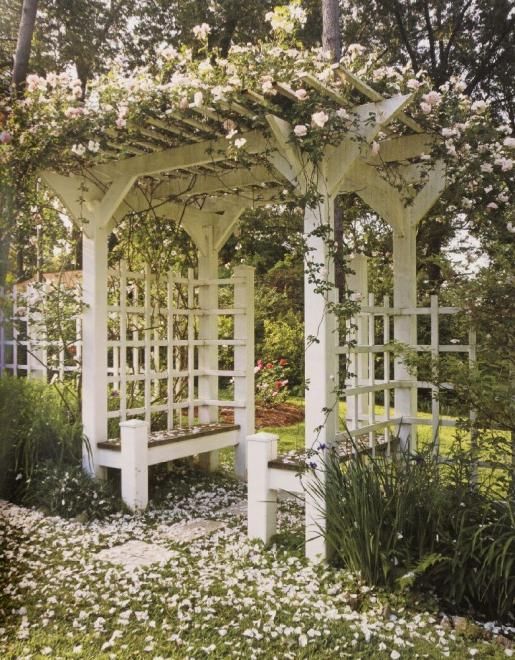 lovely arbor, Eudora Welty’s garden, Jackson, MS