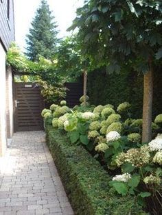 Modern Country Style: Hydrangeas, Topiary And Boxwood In The Modern Country Garden Click through for details.