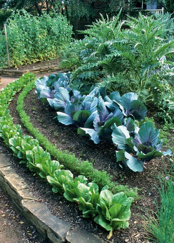 Now is the time to design for your potager garden or kitchen garden.