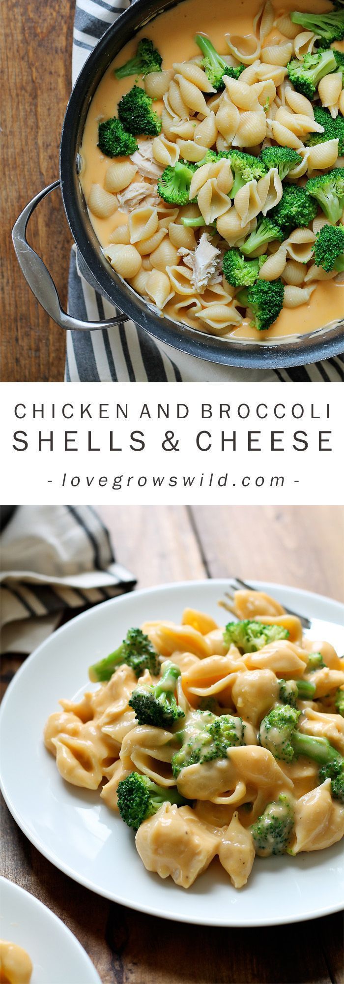 Perfectly creamy homemade shells and cheese made with chicken and broccoli. Everyone loves this easy weeknight meal!