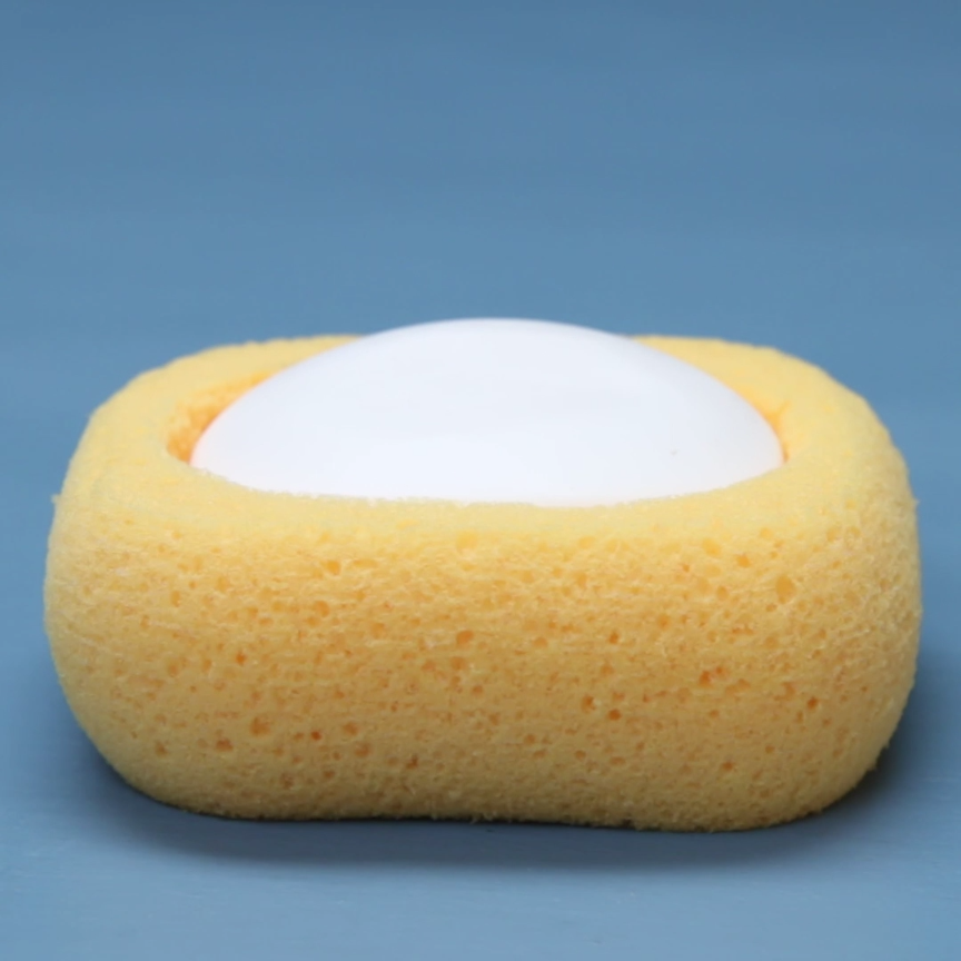 Soap Dish Sponge