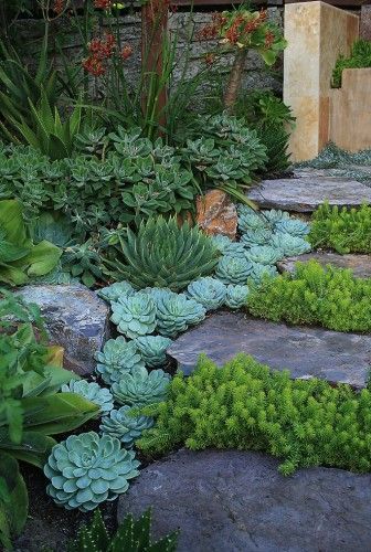 Succulant Garden – if we ever live in a desert, I’m filling my yard with things like these. Adds green.