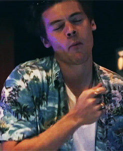 The Styles Gifs