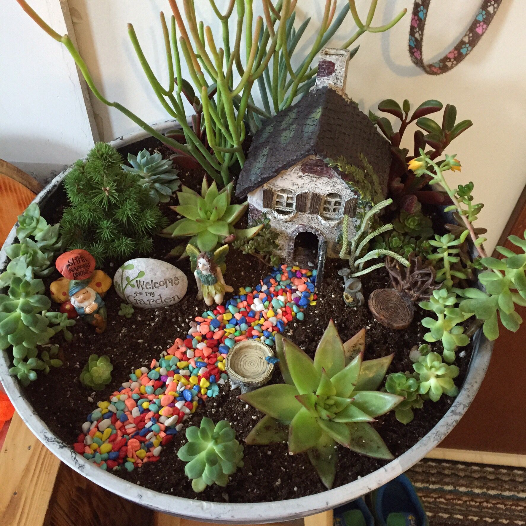 This is the mini garden I did out of mostly succulents. I combined last years fairy garden and the succulent pot I did at a class.