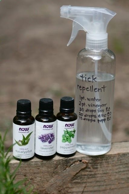 Tick Repellent: White Vinegar, Eucalyptus Oil, Lavender Oil, Peppermint Oil (Kornerstone Farms: Easy DIY Natural TICK Repellent