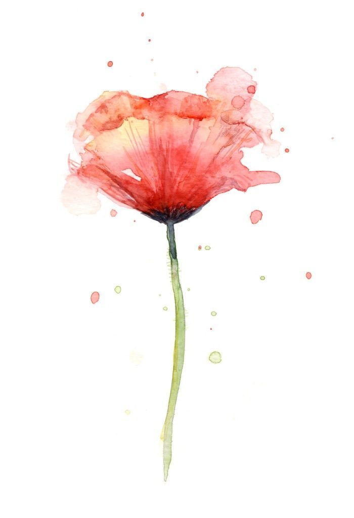 wildsunshine: “ society6.com/product/red-poppy-watercolor–floral-illustration_print ”