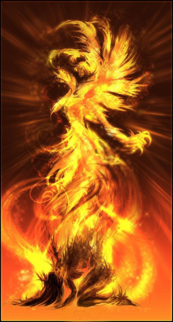 18 Phoenix Artworks : The Flaming Bird | Design Inspiration | PSD Collector