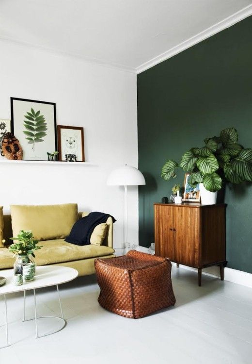 Accent your home with greens via SimplyGrove