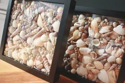 Another way to display seashells you’ve collected. Arrange inside of photo frames.  JESSICA LANG!!