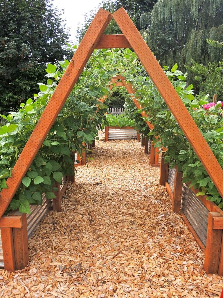 Beautiful vertical gardening/ This might work for cucumbers & other viney crops.